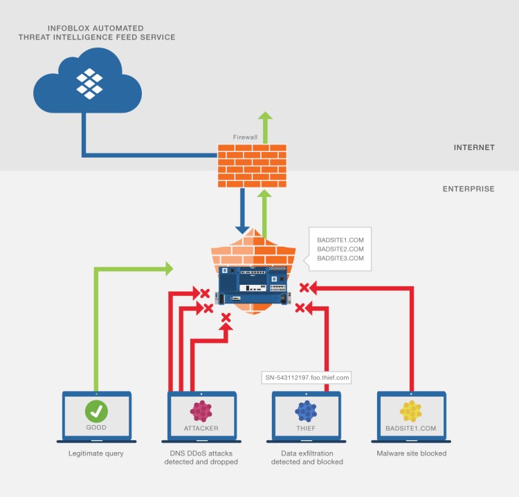 Infographic_Internal_DNS_Infographic-01
